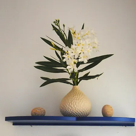 Apartment Blulatte *