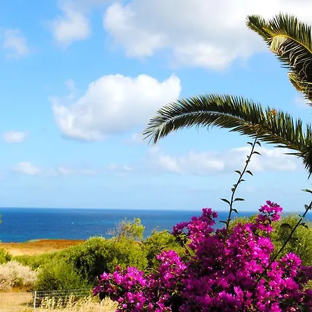 Blulatte * ואלדוריה